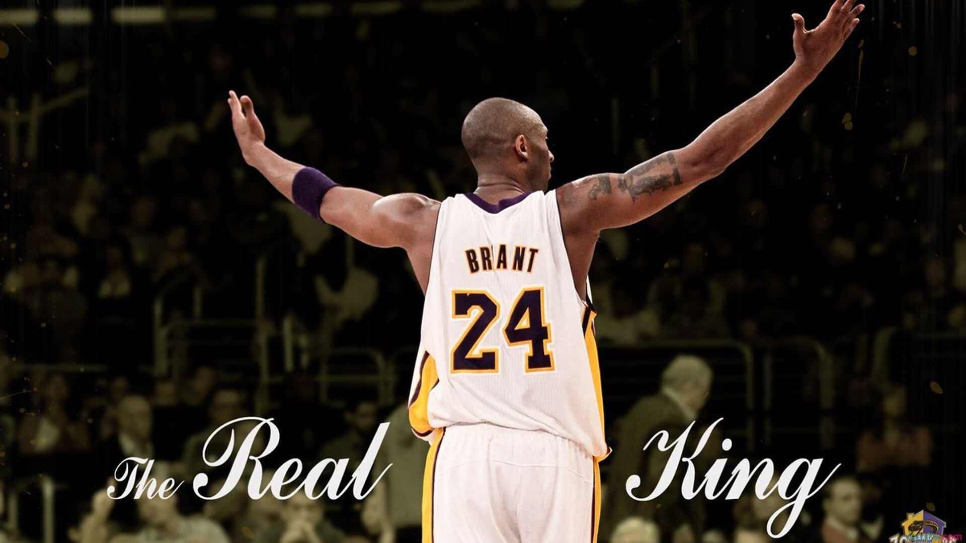 布莱顿：德泽尔比的进攻哲学，赏心悦目，布泽尔和德隆